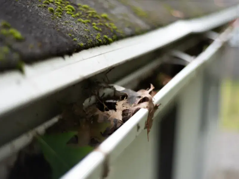 Gutters need cleaning Conway AR